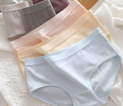 dlsave Womens Underpants Cotton Panties High Cut Lace Panty